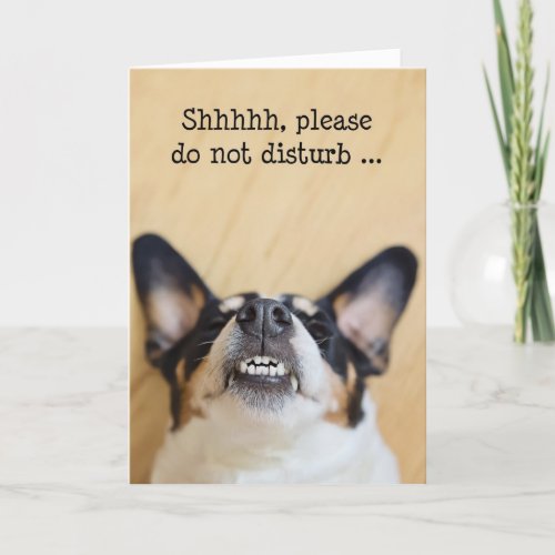 Humorous Birthday Card _ Dog Wearing Silly Grin