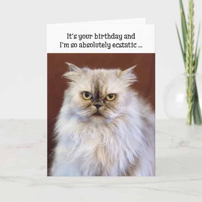 Humorous Birthday Card - Ecstatic Persian Cat (Front)