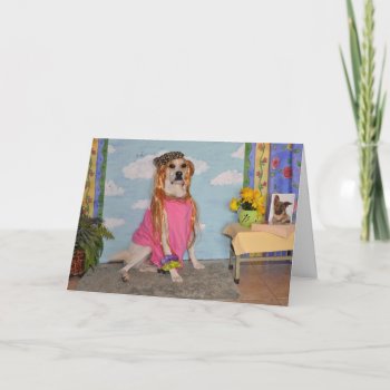 Humorous Birthday Card For Her. Photo/ Dog In Drag by PlaxtonDesigns at Zazzle