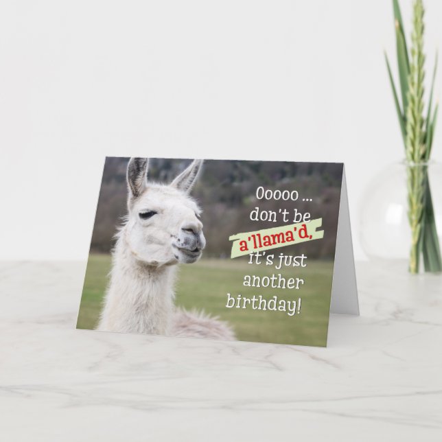 Humorous Birthday Card - The Happy Llama (Front)