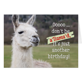 Llama Happy Birthday Gifts on Zazzle