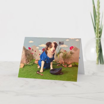 Humorous Birthday Card  Using A Photo Of A Dog  Card by PlaxtonDesigns at Zazzle