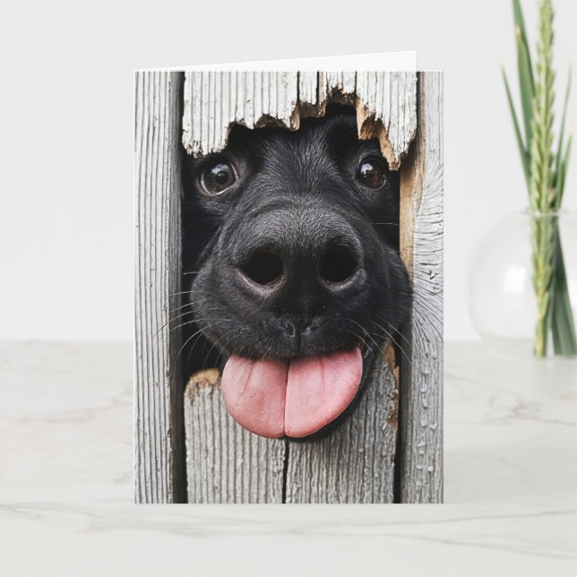 Humorous Birthday Dog Nose Card (Front)