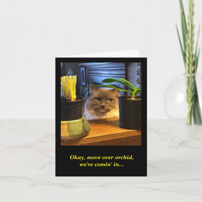 Humorous Birthday Wish Card (Front)