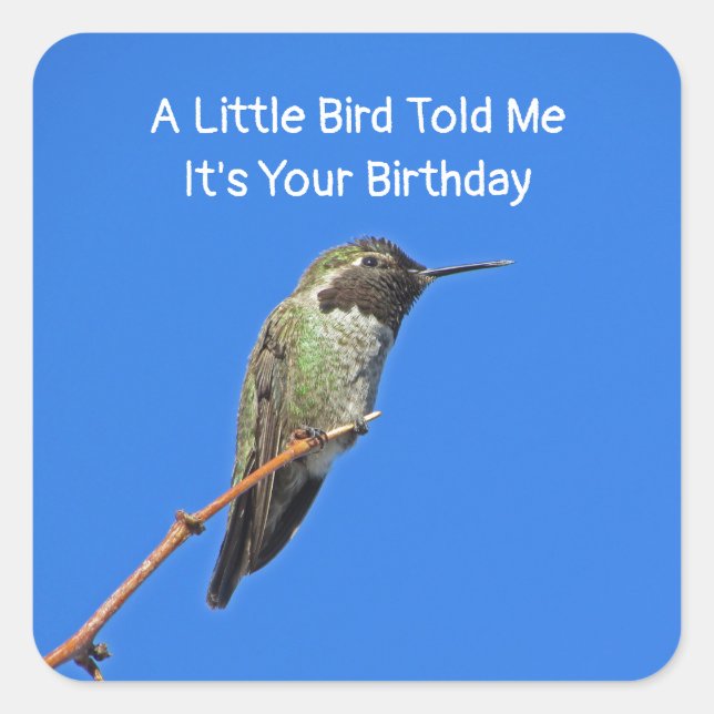 Humorous Birthday Wishes Hummingbird Envelope Seal (Front)
