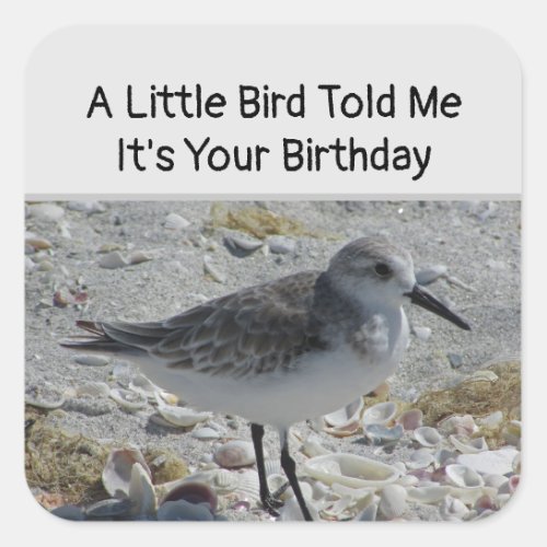 Humorous Birthday Wishes Little Bird Envelope Seal