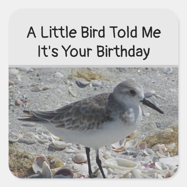Humorous Birthday Wishes Little Bird Envelope Seal (Front)