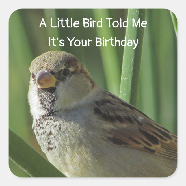 Humorous Birthday Wishes Sparrow Envelope Seal (Front)