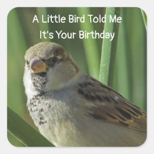 Humorous Birthday Wishes Sparrow Envelope Seal