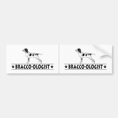 Humorous Bracco Italiano Bumper Sticker