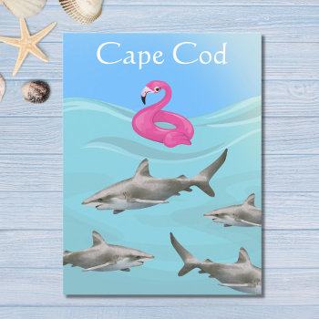 Humorous Cape Cod Great White Shark Beach Postcard by TheBeachBum at Zazzle