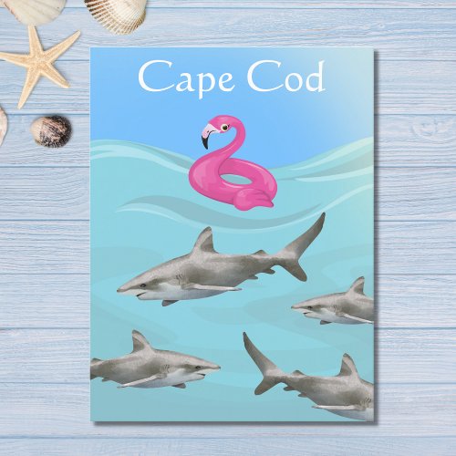 Humorous Cape Cod Great White Shark Beach Postcard