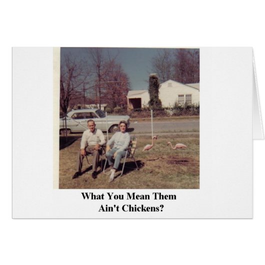 humorous card pink flamingos (Front Horizontal)