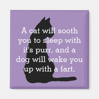 Humorous Cat and Dog Comparison Magnet