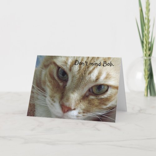 Humorous Cat Birthday Card