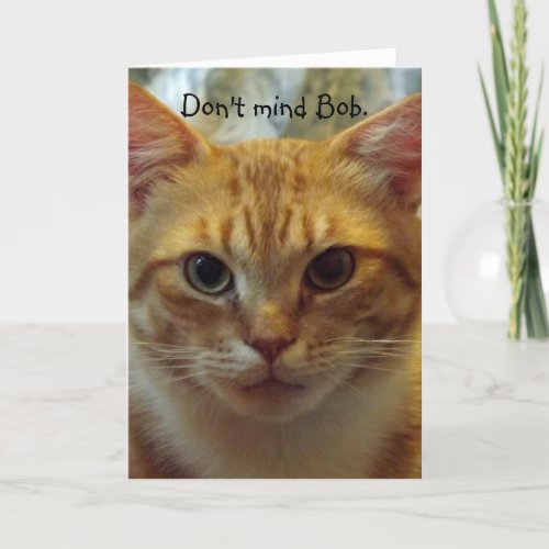Humorous Cat Birthday Card