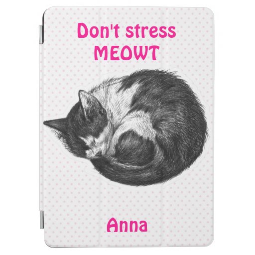 Humorous Cat Don't Stress MEOWT iPad Air Cover