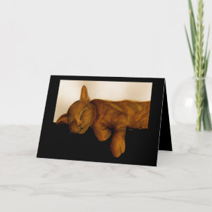 Humorous Cat Nap Birthday card
