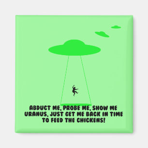Humorous chicken abduction magnet