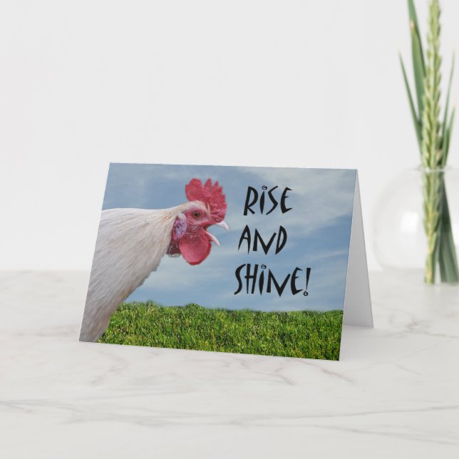 Humorous Chicken Rise and Shine Happy Birthday Card (Front)