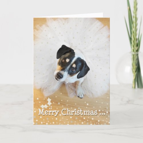 Humorous Christmas Card _ Dog Wearing Tutu 3