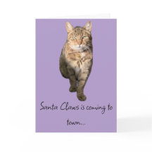 Humorous Christmas card with a charming tabby cat