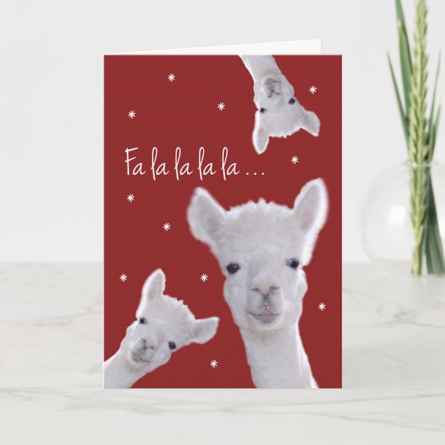 Humorous Christmas Carol Card, Llamas & Snowflakes Holiday Card (Front)