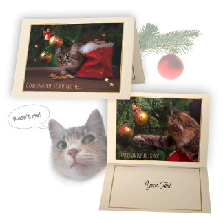 Humorous Christmas Cat Card