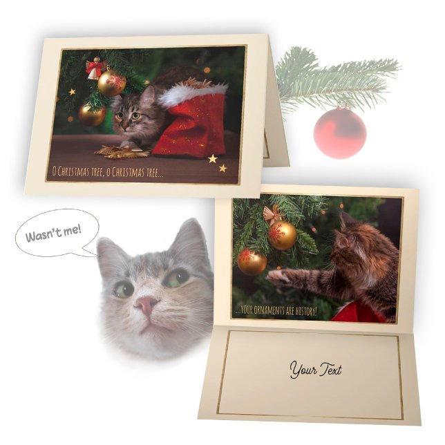 Humorous Christmas Cat Card (Creator Uploaded)