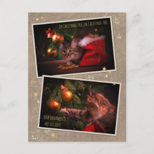 Humorous Christmas Cat Postcard