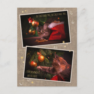 Humorous Christmas Cat Postcard