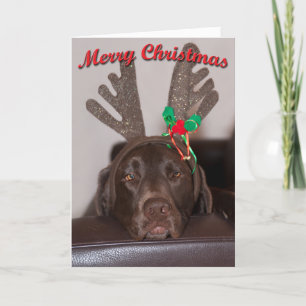 Humorous Christmas Labrador With Glitter Antlers Holiday Card