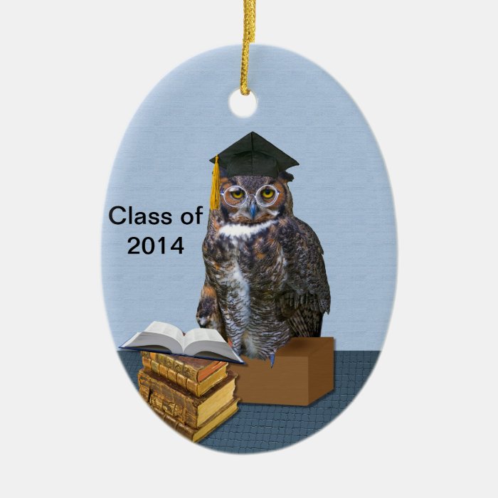 Humorous Class of 2014 Graduation Owl Christmas Ornaments