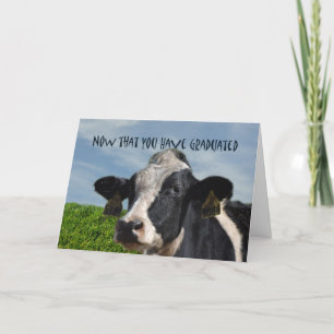 Humorous Congratulations on Graduating Cow Bovine Card