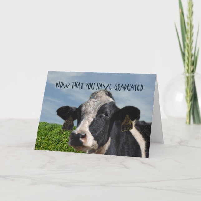Humorous Congratulations on Graduating Cow Bovine Card (Front)