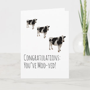 Humorous Cow Moving House Card