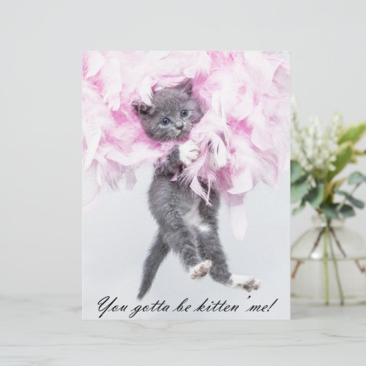 Humorous Cute Funny Cat (Standing Front)