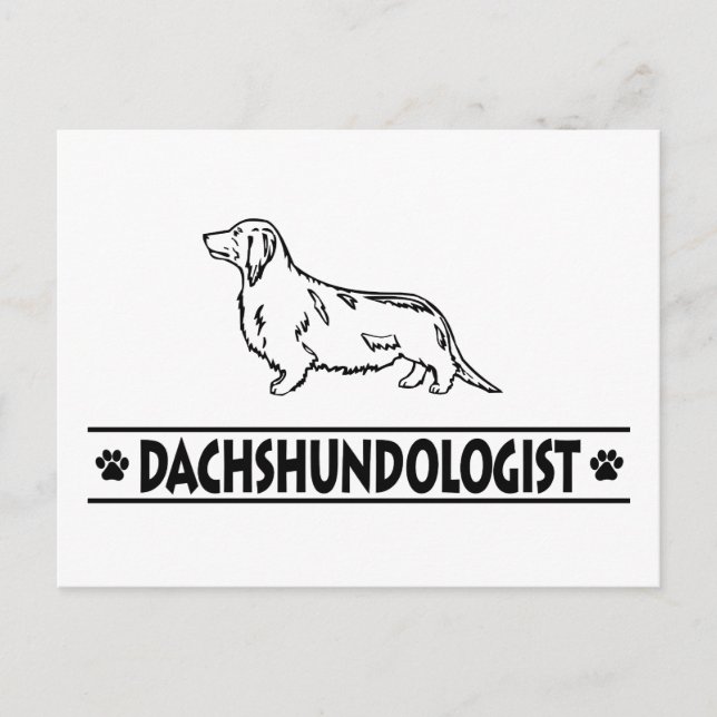 Humorous Dachshund Longhaired Postcard (Front)