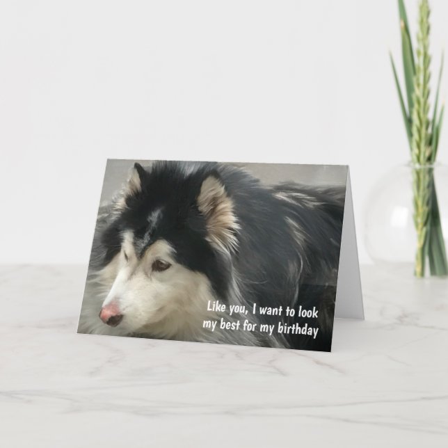 Humorous Dog Birthday Card (Front)