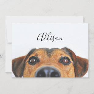 Humorous Dog Note Card