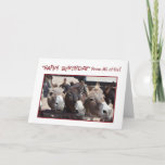 Humorous Donkey Group Birthday, From All Of Us Card at Zazzle