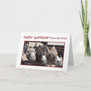Humorous Donkey Group Birthday, From All of Us Card