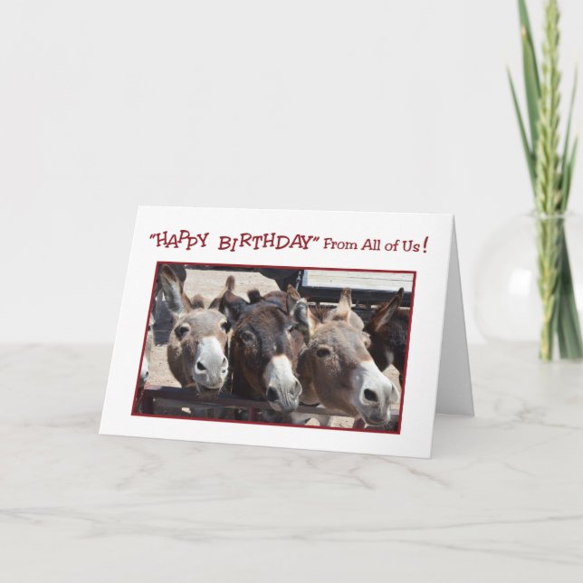 Humorous Donkey Group Birthday, From All of Us Card (Front)