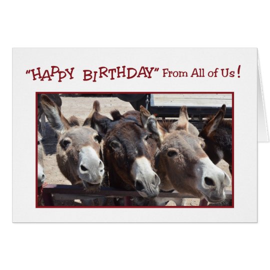 Humorous Donkey Group Birthday, From All of Us Card | Zazzle.com