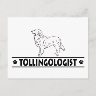 Humorous Duck Tolling Retriever Postcard