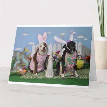 Humorous Easter Card For Anyone  by PlaxtonDesigns at Zazzle