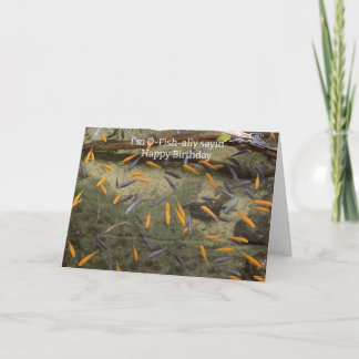 Humorous Fish Birthday Card