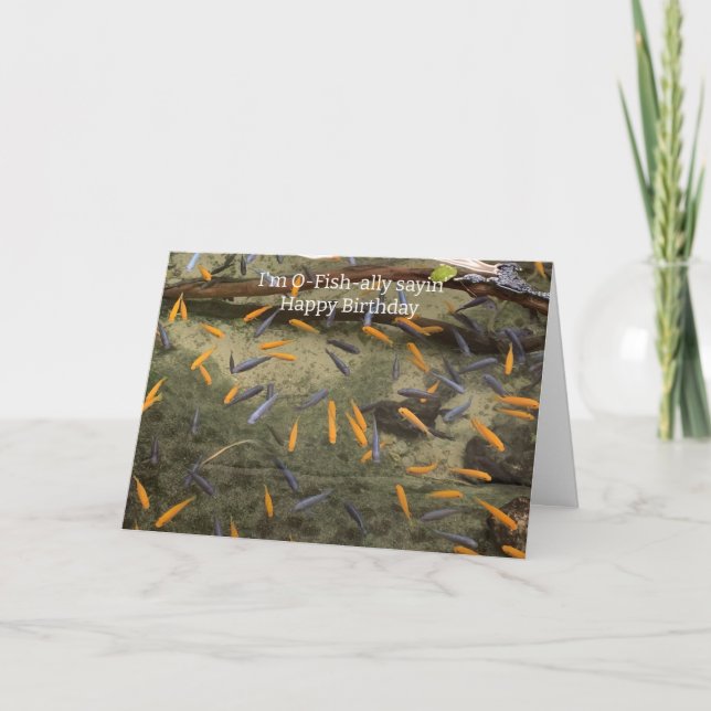Humorous Fish Birthday Card (Front)