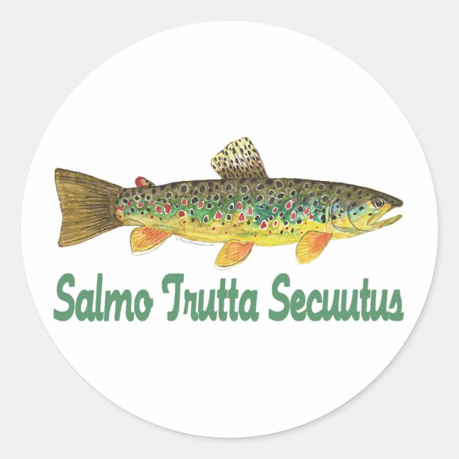 Humorous Fish, Fishing, Fly Fishing Classic Round Sticker (Front)