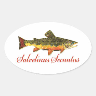 Humorous Fish, Fishing, Fly Fishing Oval Sticker